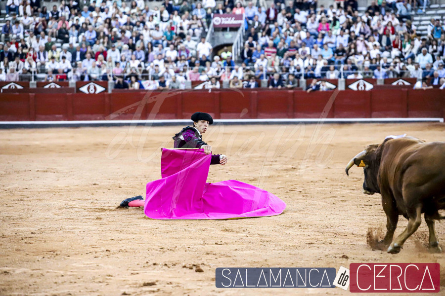 NOVILLADA SIN PICADORES LA GLORIETA, SALVADOR HERRERO, JESUS YGLESIAS Y JULIO NORTE 08 09 2024 sdc 176